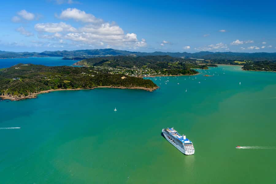 Auckland: Bay of Islands Day Tour with Dolphin Cruise - The long drive, and why the commentary is part of the experience