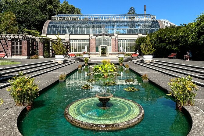Auckland Best Top 5 Spots Half day Tour - Mission Bay waterfront time with Rangitoto in view