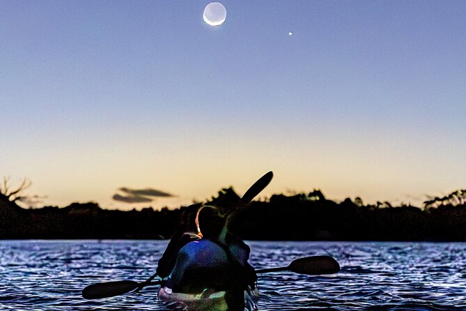 Auckland Bioluminescence Kayak Tour - Safety you can actually relax about