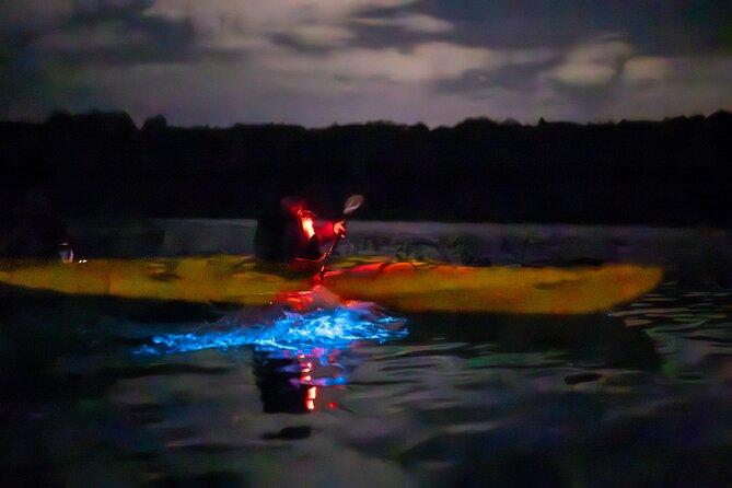 Auckland Bioluminescence Kayak Tour - Price and value: is $68.26 worth it?
