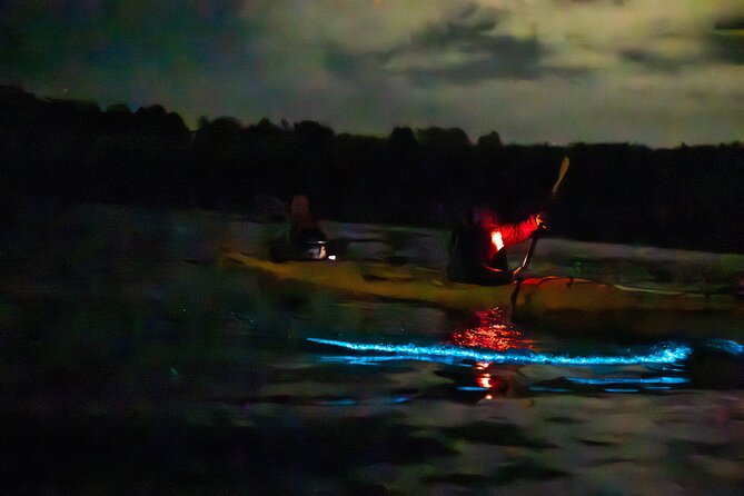Auckland Bioluminescence Kayak Tour - Who this tour is best for, and who should think twice