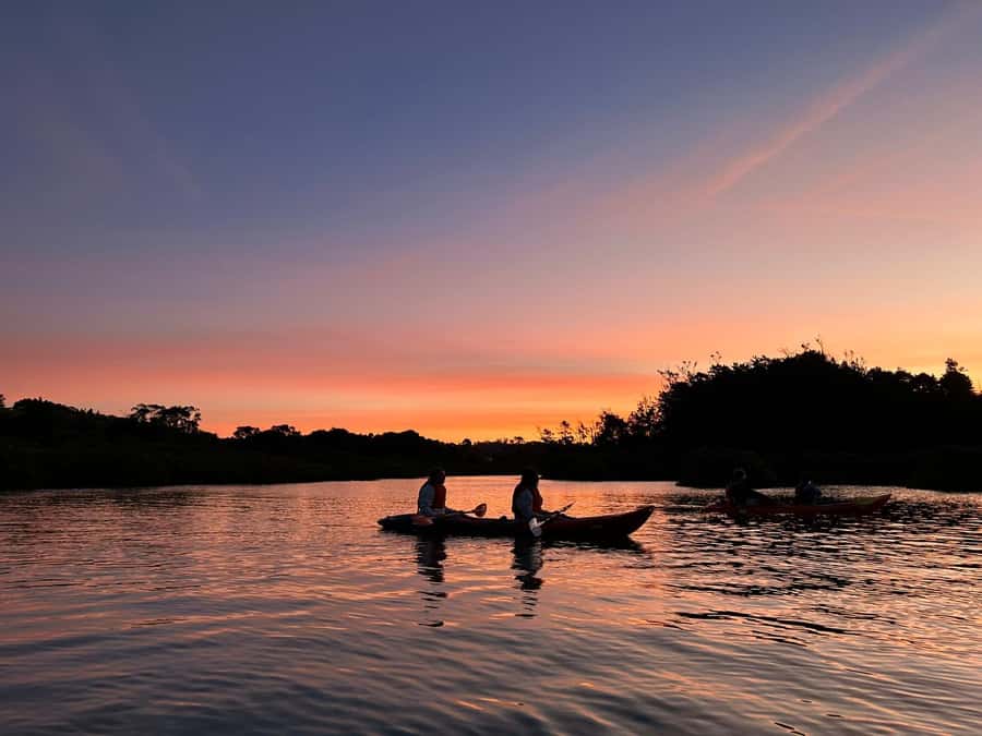 Auckland: Bioluminescence Kayak Tour with Guide - Key Highlights You Should Know