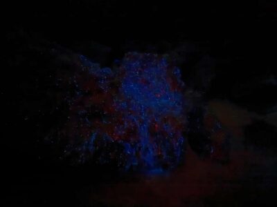 Bioluminescence Kayak Tour with Guide