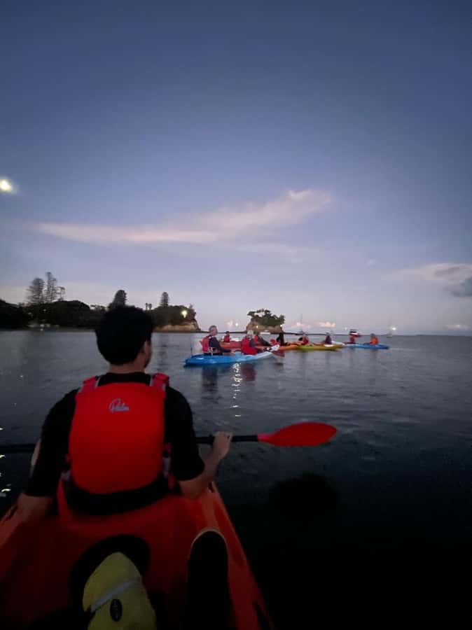 Auckland: Bioluminescence Kayak Tour with Guide - What You Actually See: Bioluminescence Up Close