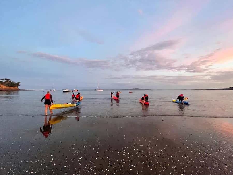 Auckland: Bioluminescence Kayak Tour with Guide - Weather Comfort: What to Wear So You Can Enjoy the Whole 2 Hours