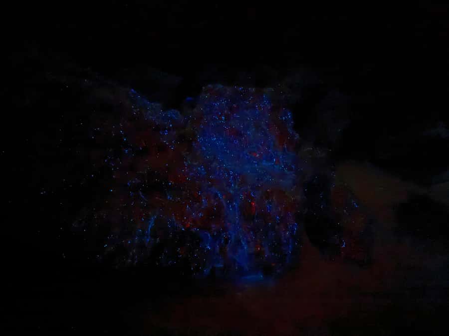 Auckland: Bioluminescence Kayak Tour with Guide - The 2-Hour Plan: What Happens Before You See the Glow