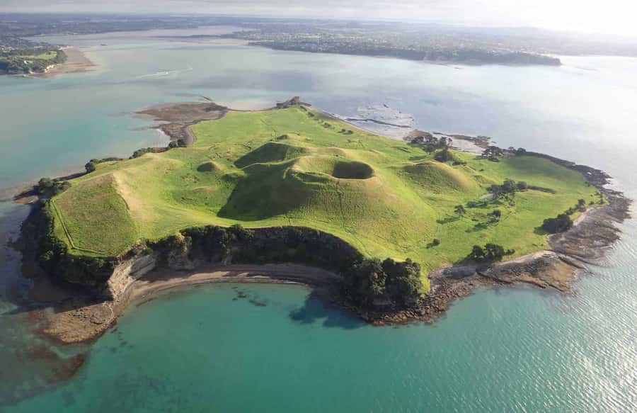 Auckland: Browns Island (Motukorea) Sea Kayak Tour - Key highlights to care about