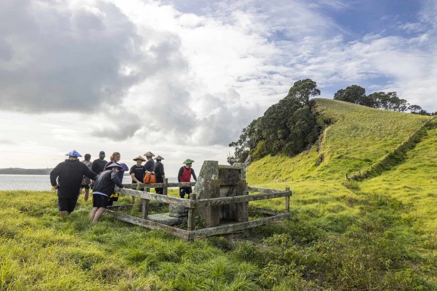 Auckland: Browns Island (Motukorea) Sea Kayak Tour - Should you book this Browns Island (Motukorea) kayak tour?