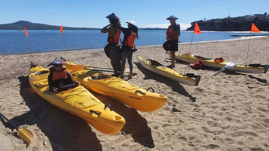 Auckland: Browns Island (Motukorea) Sea Kayak Tour - Wildlife spotting: whales, dolphins, penguins, and rare birds