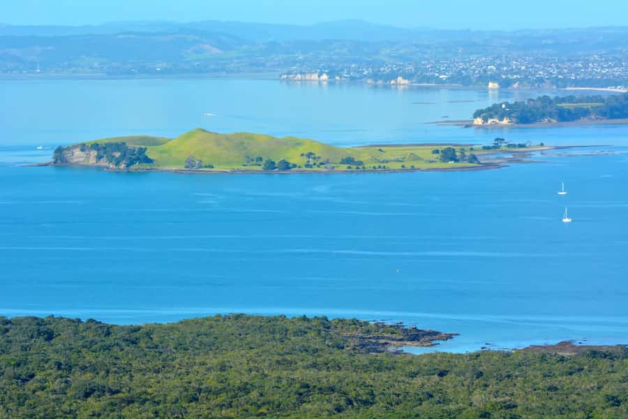 Auckland: Browns Island (Motukorea) Sea Kayak Tour - How the 4-hour timing really feels, and where your energy goes