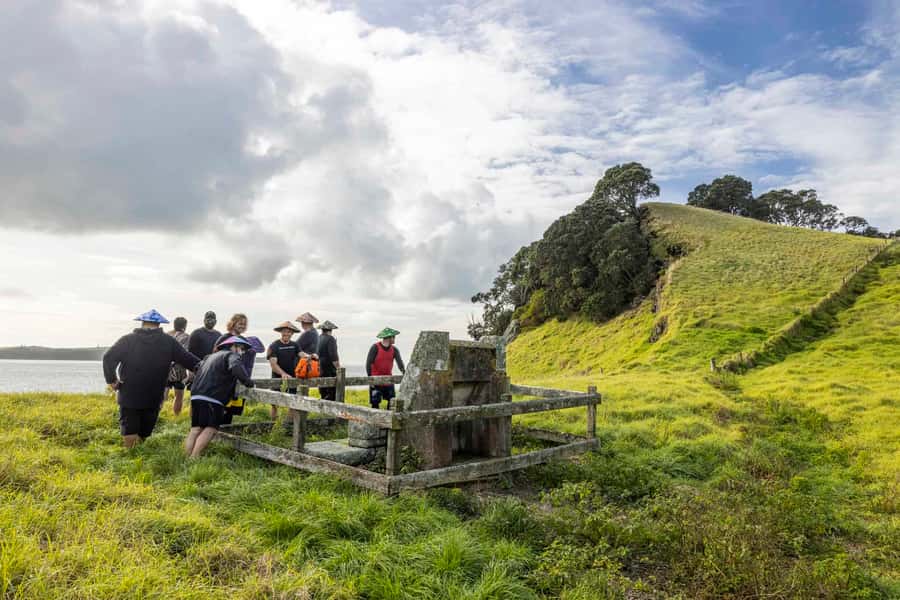 Auckland: Browns Island (Motukorea) Sea Kayak Tour - What’s included, what to wear, and what to bring from day one