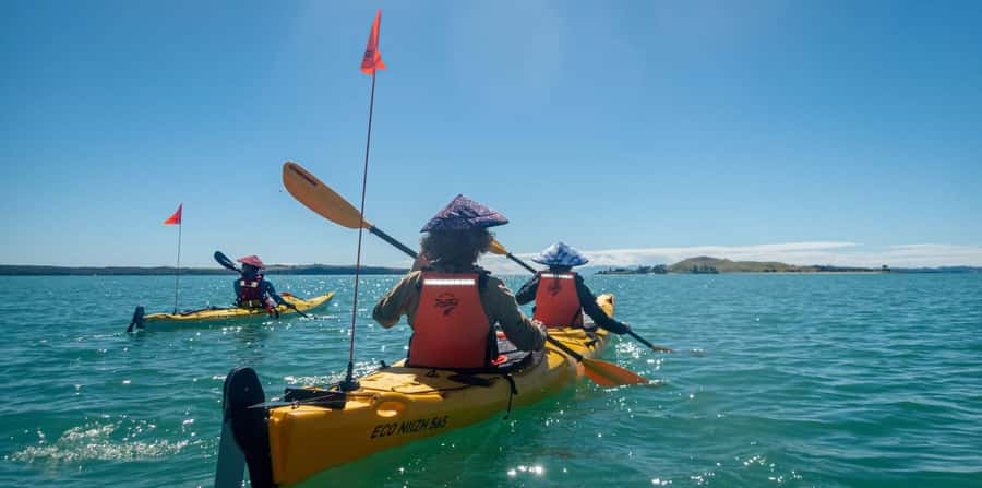 Auckland: Browns Island (Motukorea) Sea Kayak Tour - 45 to 60 minutes of paddling through Hauraki Gulf and Waitematā Harbour