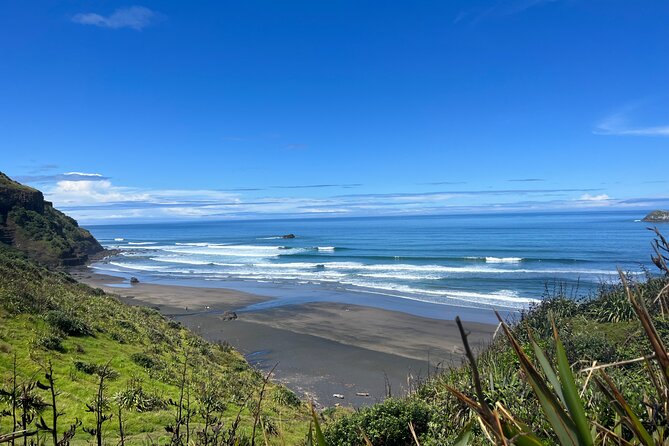 Auckland City and West Coast Black Sand Beach Full Day Tour - Key highlights at a glance