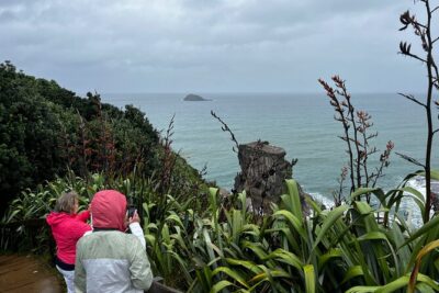 Auckland City and West Coast Black Sand Beach Full Day Tour