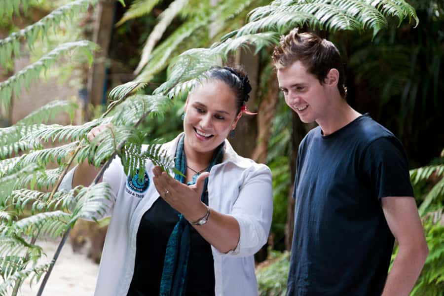 Auckland City and West Coast Luxury Tour - The Māori culture piece: why Harry and Moral matter
