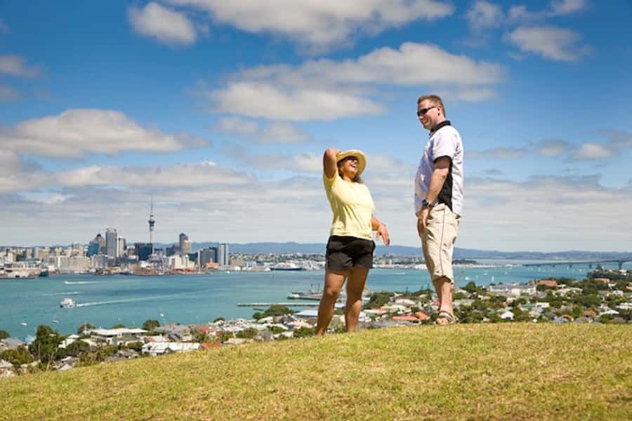 Auckland City and West Coast Luxury Tour - Auckland’s best viewpoints, built into one efficient full day