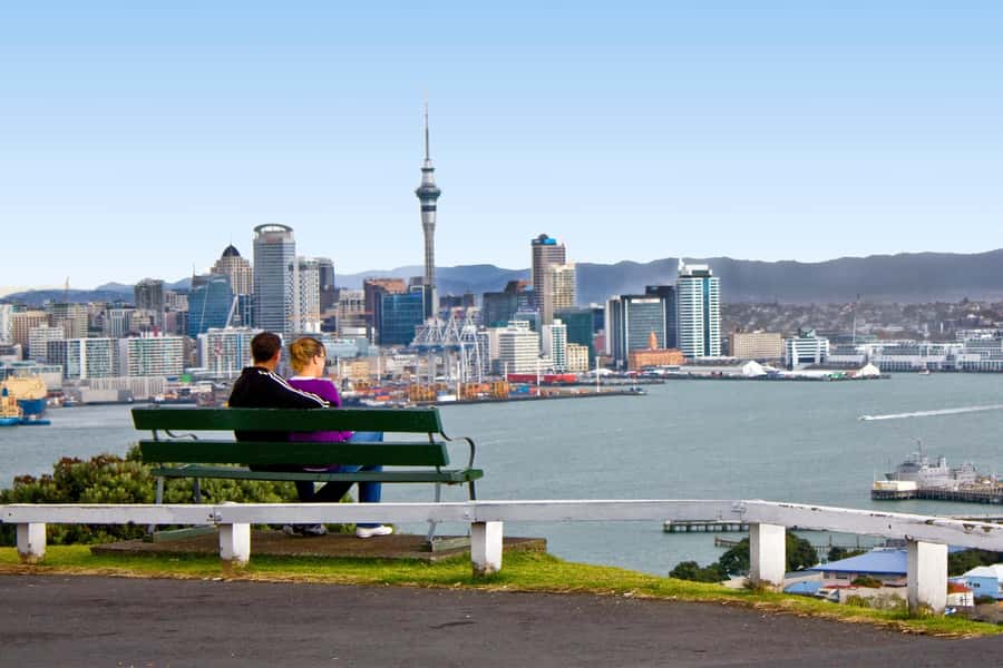 Auckland City, Beaches & Rainforest Premium Small Group Tour - Key highlights that make this day tour worth it