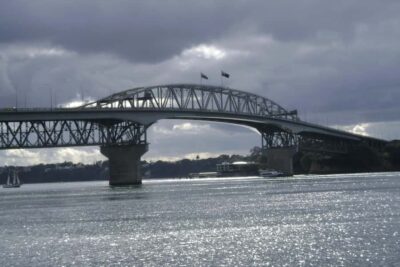 Auckland City, Beaches & Rainforest Premium Small Group Tour
