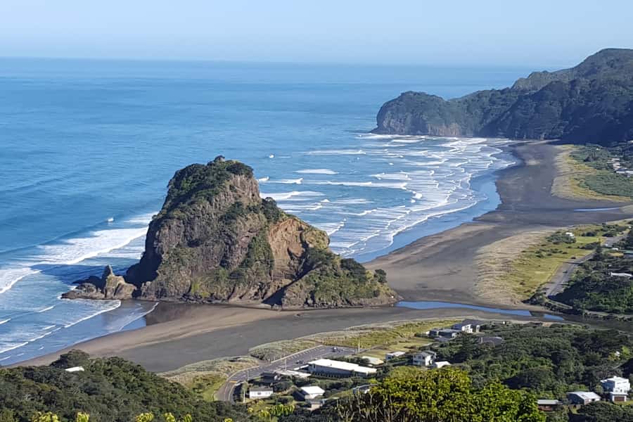 Auckland City, Beaches & Rainforest Premium Small Group Tour - Waitakere Ranges rainforest walk: easy tracks, kauri trees, and giant tree ferns