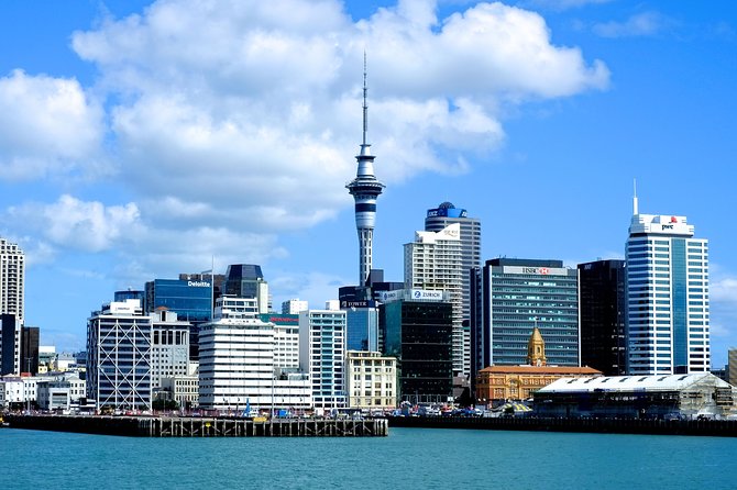 Auckland City Discovery Experience - Private Tour From Auckland - A private Auckland loop that actually feels easy
