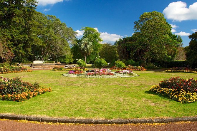 Auckland City Discovery Experience - Private Tour From Auckland - The coastal drive through Kohimarama, Mission Bay, and Tamaki Drive