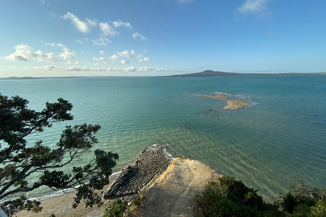 Auckland City Discovery Experience - Private Tour From Auckland - Westhaven Marina: the yachts and the scale of Auckland’s harbour
