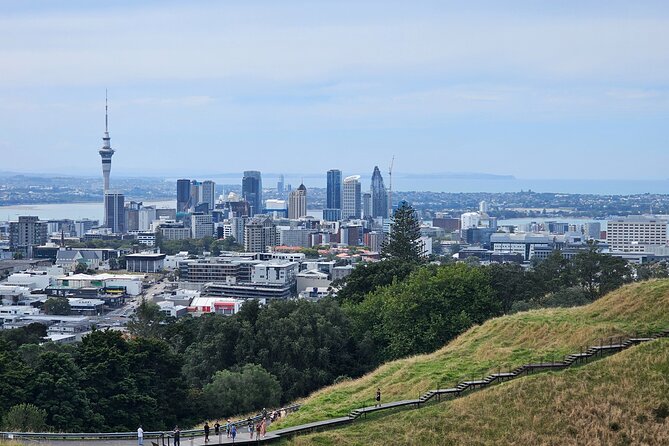 Auckland City Halfday Guide Tour - Quick hits before you go