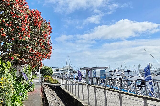 Auckland City Halfday Guide Tour - The half-day rhythm that works in Auckland