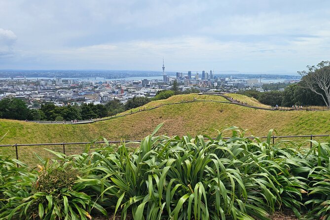 Auckland City Halfday Private Tour - Mission Bay: Sand, Lawns, and a Reset Before the Final Harbor View