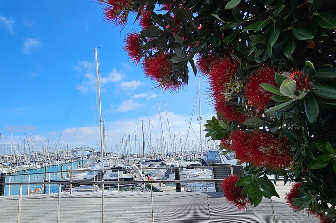 Auckland City Halfday Private Tour - Auckland Harbour Bridge: The Fast Start That Sets the Whole Tone
