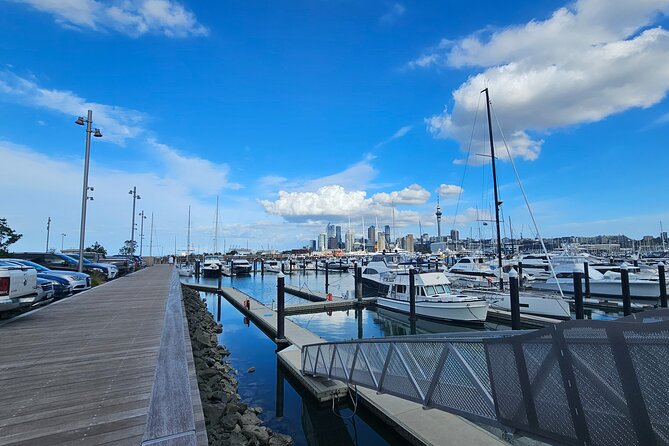 Auckland City Halfday Tour - Westhaven Marina: Yacht Watching Without the Fancy Yacht-Fee