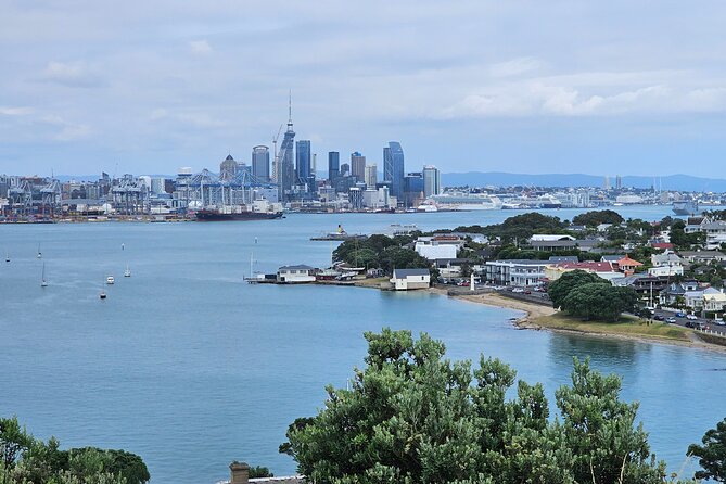 Auckland City Halfday Tour - Price and Value: What You’re Really Paying For