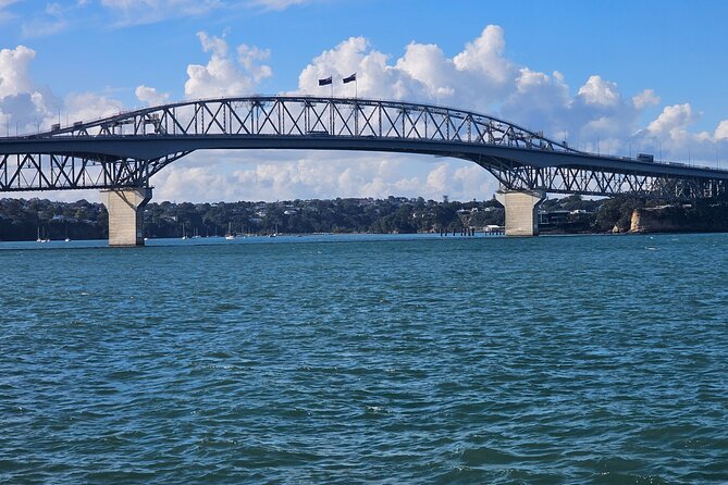 Auckland City Halfday Tour - Getting the Most Out of It: Small Moves That Pay Off