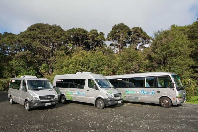 Auckland City Highlights, Afternoon Piha Beach & Rainforest Tour - Arataki Visitor Centre: Maori Carvings and Harbour Views at a Turning Point