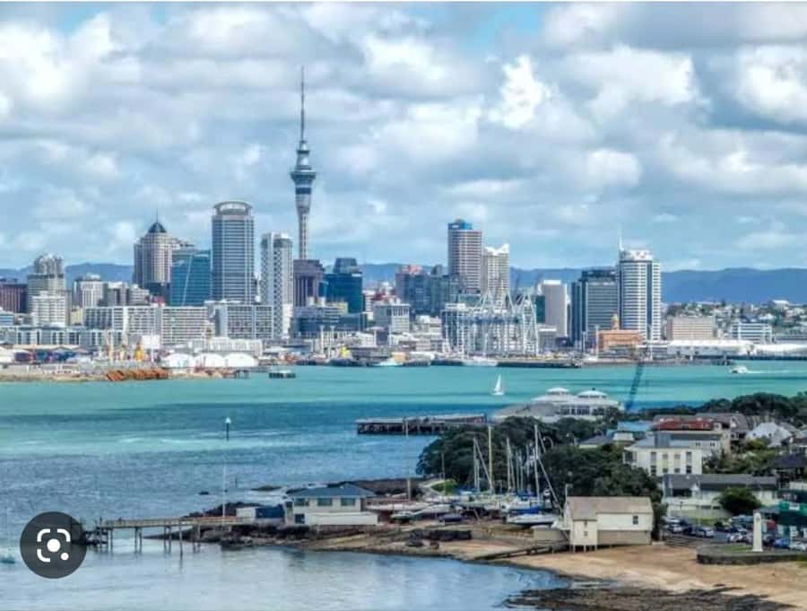 Auckland City Highlights Half Day Tour - Key highlights that make this tour work