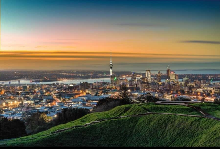 Auckland City Highlights Half Day Tour - Why this half-day Auckland highlights loop makes sense