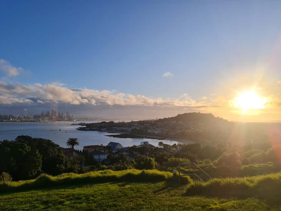 Auckland City Highlights Half Day Tour - Harbour Bridge first, then the coast at North Head (or Kaori Tree Forest)