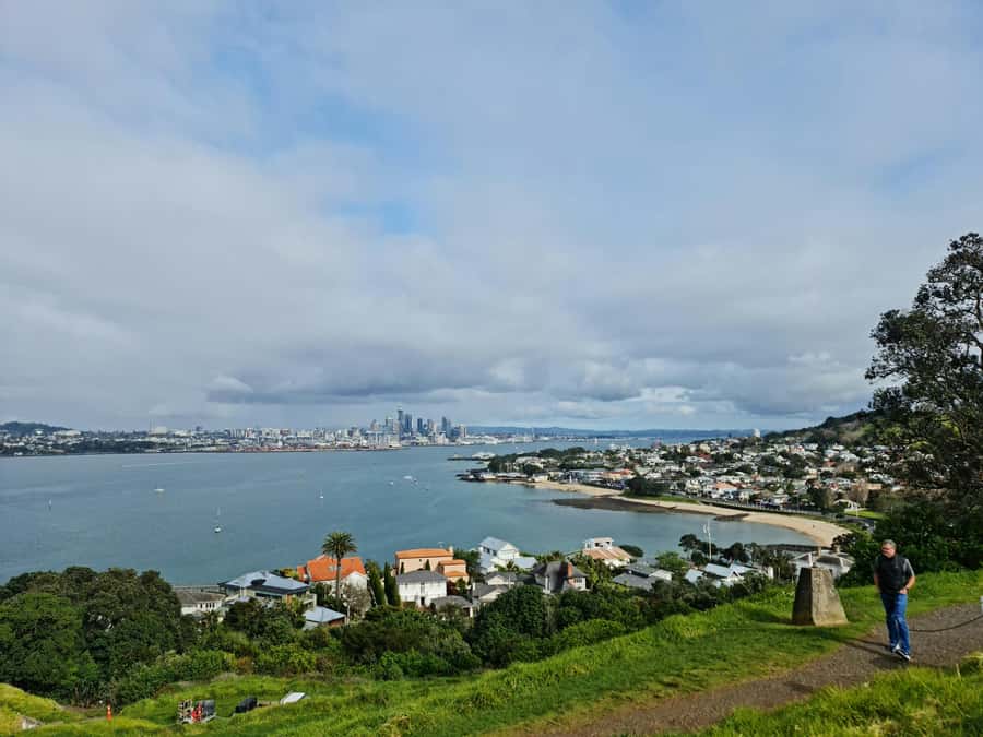 Auckland City Highlights Half Day Tour - Who this tour is best for