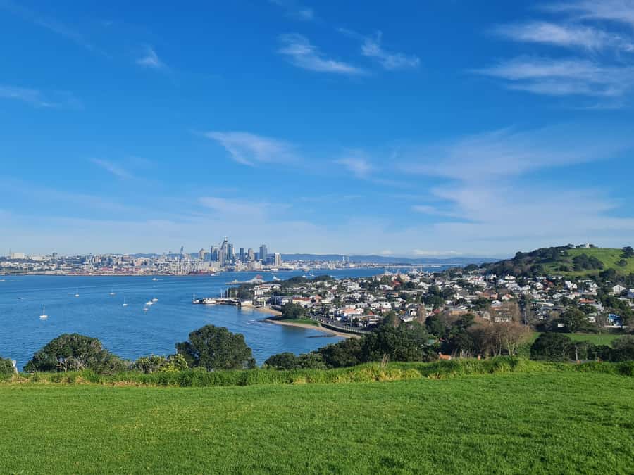 Auckland City Highlights Half Day Tour - Pickup in Auckland CBD, and what the small group changes