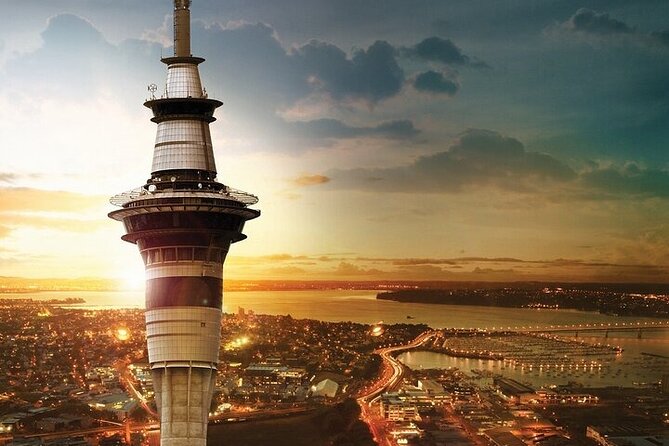 Auckland City Highlights Private Tour - Key things I’d zero in on before you book