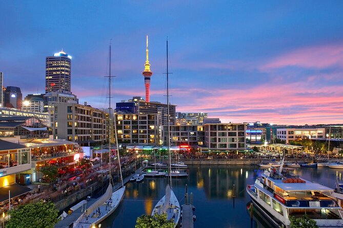 Auckland City Hotel to Cruise Ship Transfer by SUV - Who This Transfer Fits Best in Auckland