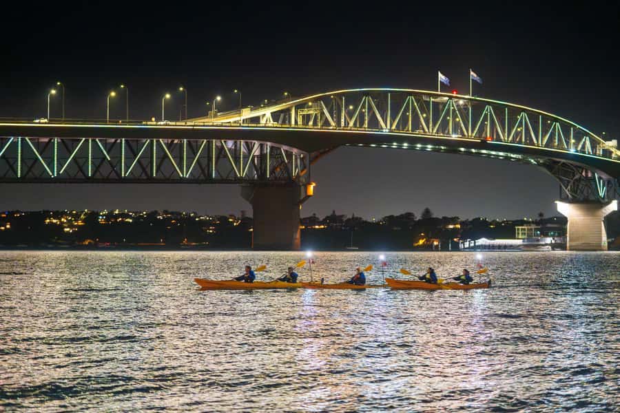 Auckland: City Lights Night Kayak Tour - City Lights on Waitematā Harbour: The Point of This 2-Hour Paddle