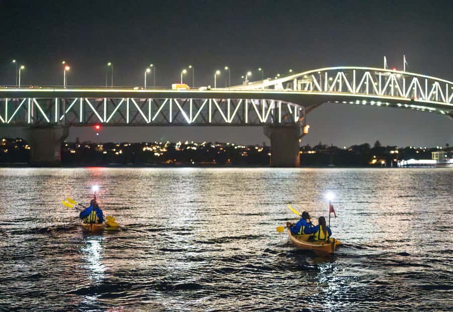 Auckland: City Lights Night Kayak Tour - Z Pier Start at St Mary’s Bay: Where the Night Feels Close