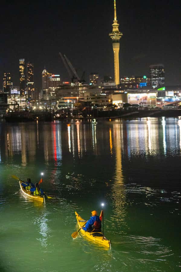 Auckland: City Lights Night Kayak Tour - Learning to Paddle Without Stress: What You Do Before the Views
