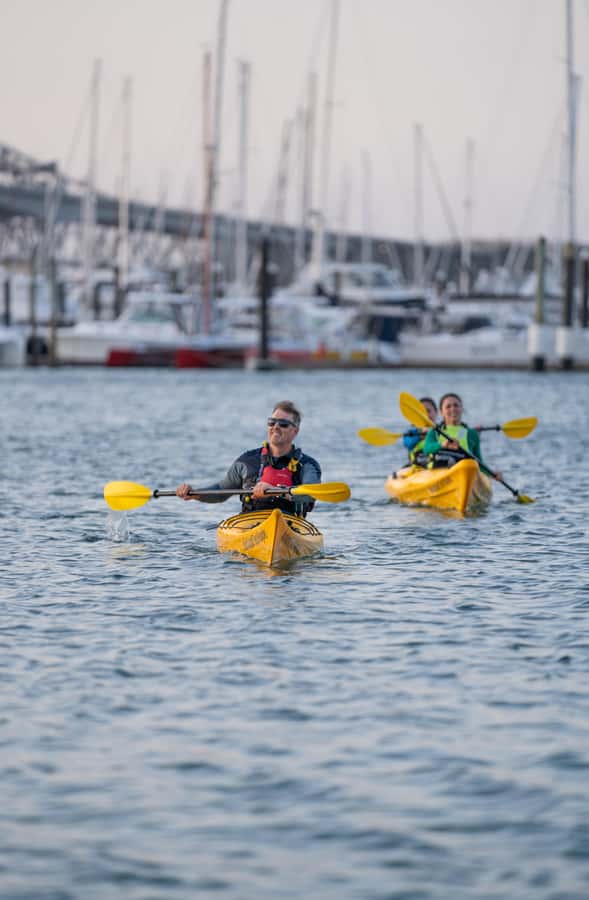 Auckland: City Lights Night Kayak Tour - What to Wear, What to Pack, and What Not to Bring