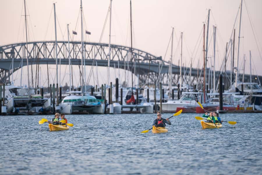 Auckland: City Lights Night Kayak Tour - Price and Value: Is $80 Fair for a 2-Hour Auckland Night?