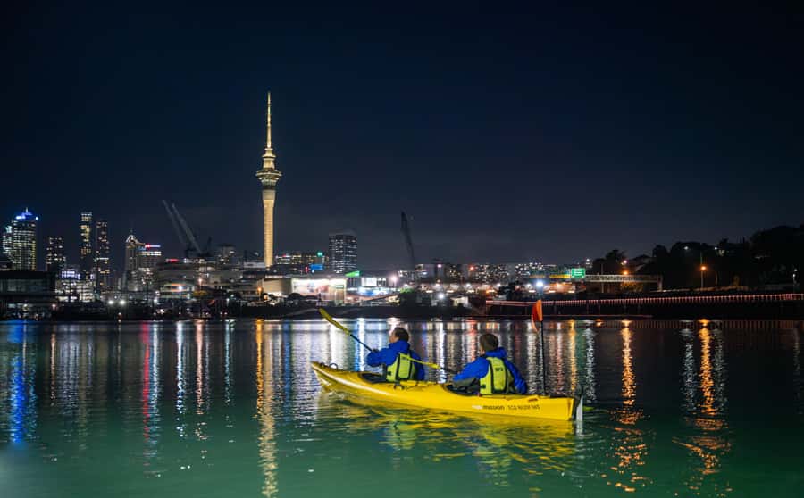 Auckland: City Lights Night Kayak Tour - Small-Group Kayaking with Real Safety Basics (Max 9)