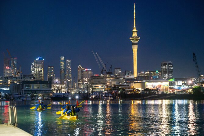 Auckland City Lights Night Kayaking Tour - Key things I’d notice first