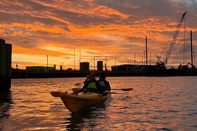 Auckland City Lights Night Kayaking Tour - Wynyard Quarter from the water: marina edges and city energy