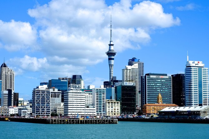 Auckland City & Native Forest Experience - Fully Guided Day Tour - Key highlights that shape the day